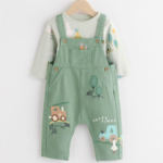Charming Farm Theme Embroidered Dungaree and Top Set